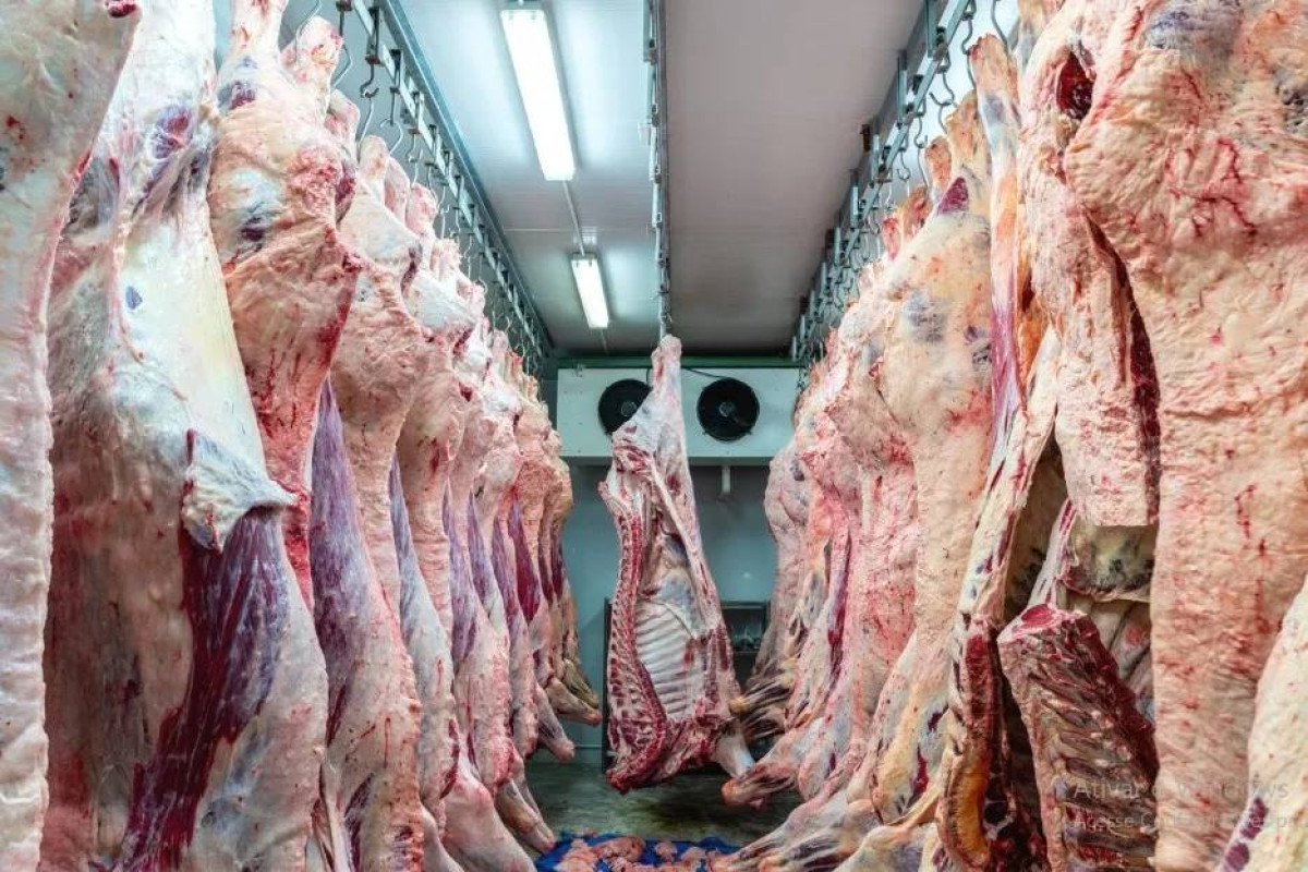 China diz que Brasil já atingiu metade da cota de carne e pode ser taxado