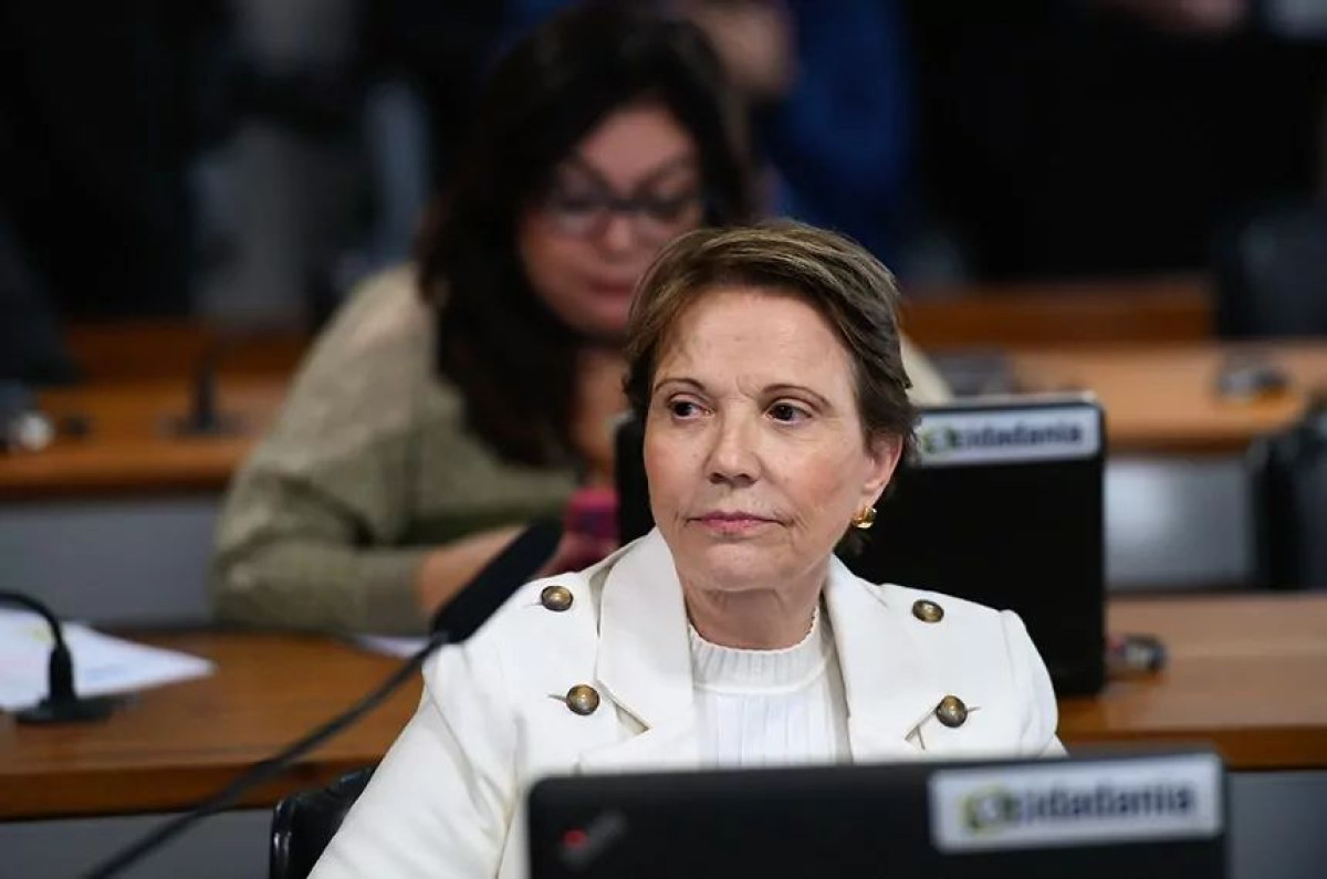 Tereza Cristina sofre críticas de Bolsonaristas por comemorar redução de tarifas
