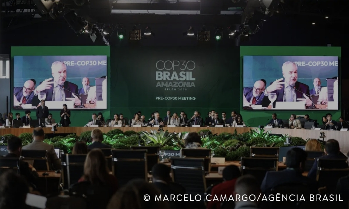 BNDES lança plataforma para acompanhar ações do Fundo Clima