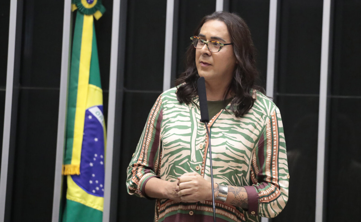 Duda Salabert denuncia tentativa de homicídio em área de mineração ilegal em MG