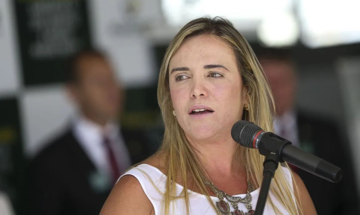 Celina Leão recebe demandas do TJDFT sobre política antimanicomial