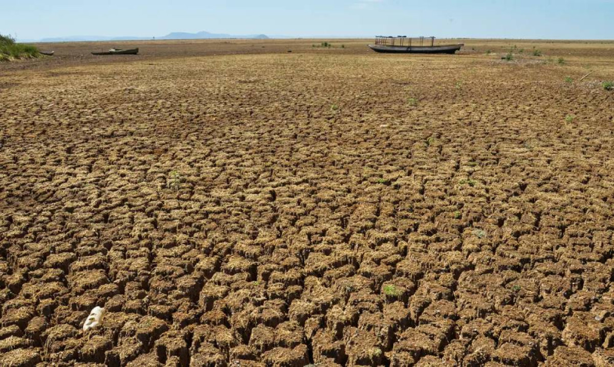 Guerras e secas devem agravar fome global em 2026, aponta relatório