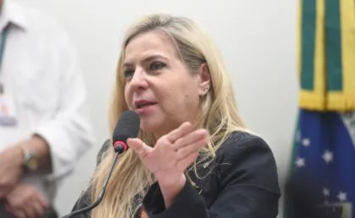 Deputada Luizianne Lins e brasileiros detidos em Israel recebem visita da embaixada