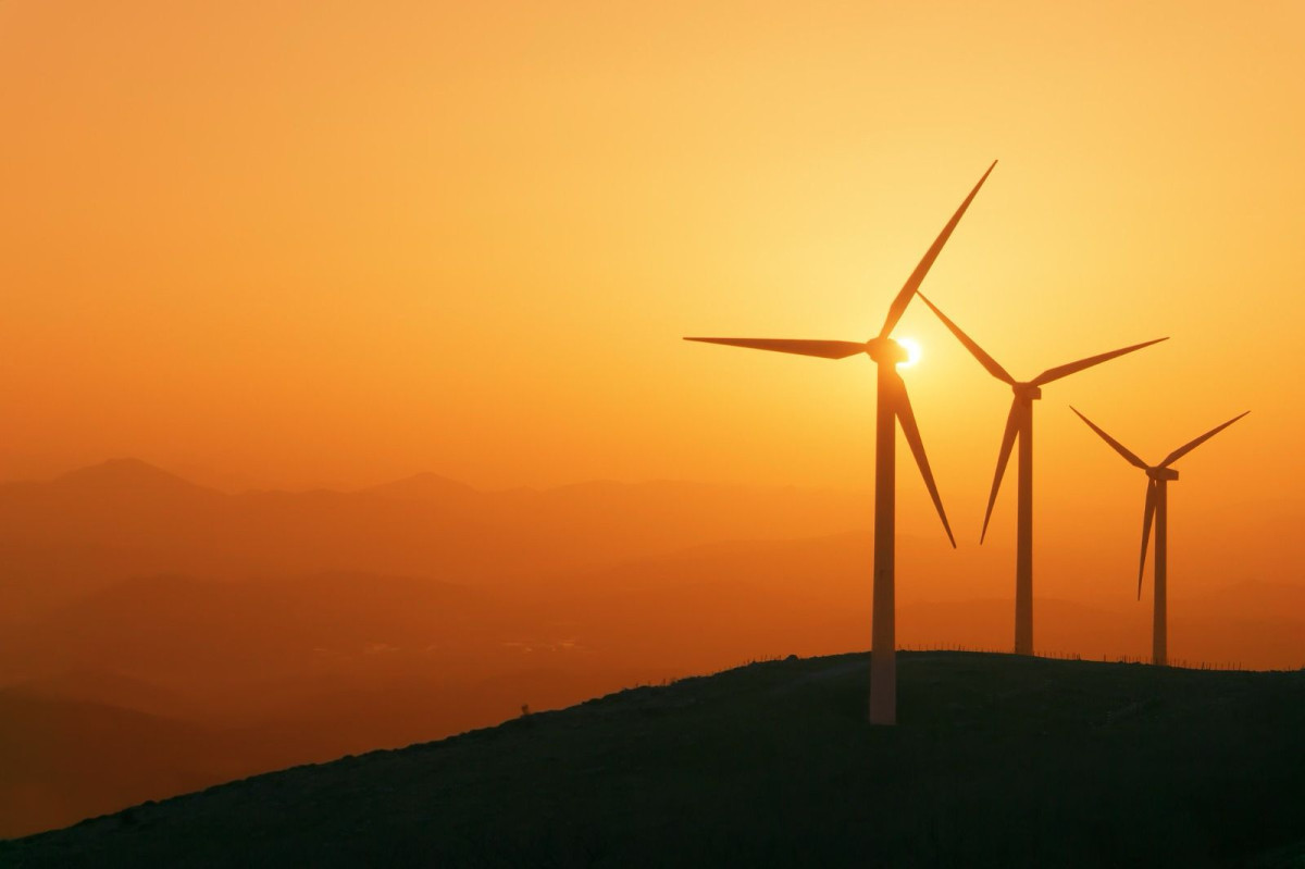 Banco do Nordeste destaca atuação em energia limpa, microfinanças e preservação da Caatinga na COP30