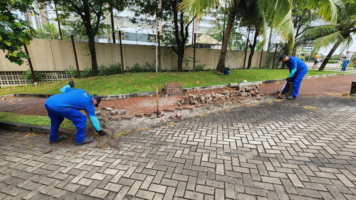 Litoral Sul recebe Rotatórias Verdes