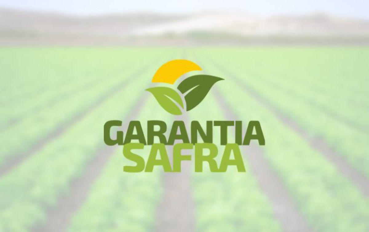 Senado aprova projeto que aprimora o Garantia-Safra