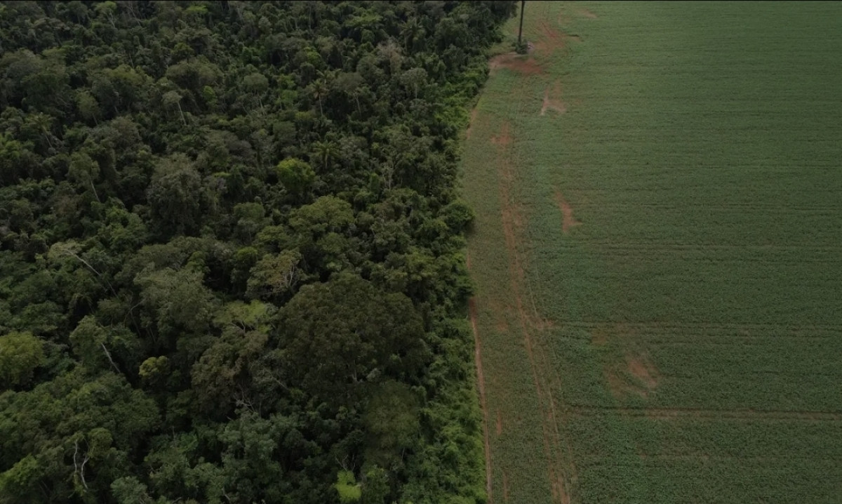 Brasil apresenta soluções de financiamento climático em Nova York