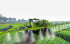  Getty Images/Canva